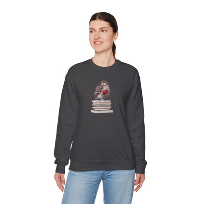 Cute Owl on Books Teacher Sweatshirt – Cozy Back to School Aesthetic