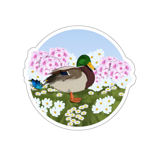 mallard bird sticker