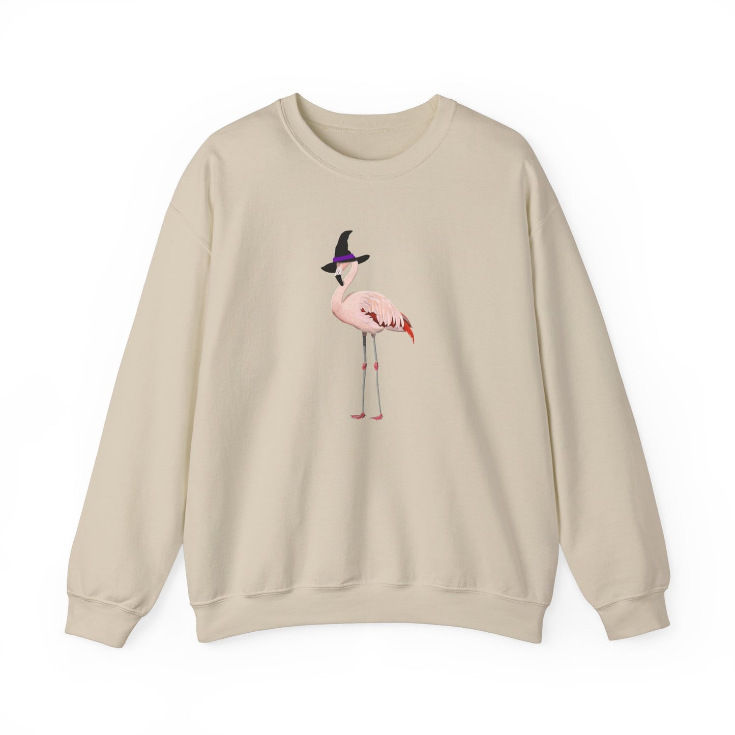 Flamingo Halloween Birds Witch Birdwatcher Sweatshirt