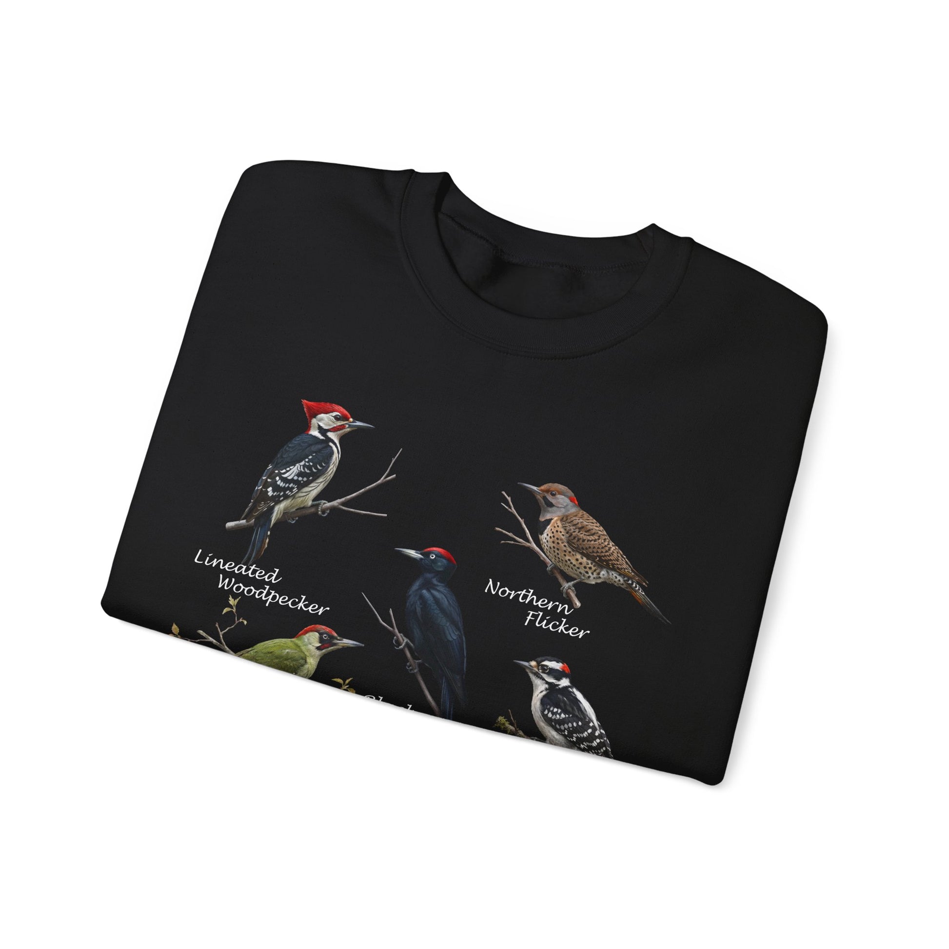 Woodpecker Species Sweatshirt | Birder Field Guide Crewneck – Animal Lover Gift,