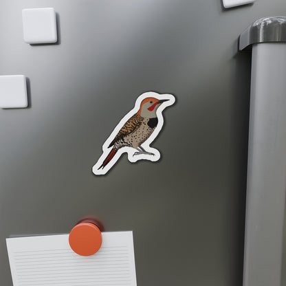 Northern Flicker Bird Magnet