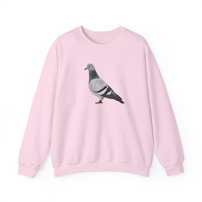 Pigeon Bird Watcher Biologist Crewneck Sweatshirt