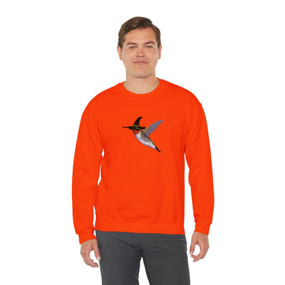 Hummingbird Halloween Birds Witch Birdwatcher Sweatshirt