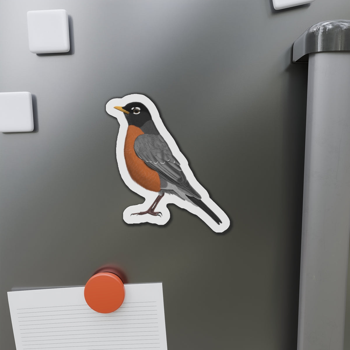 Robin Bird Magnet