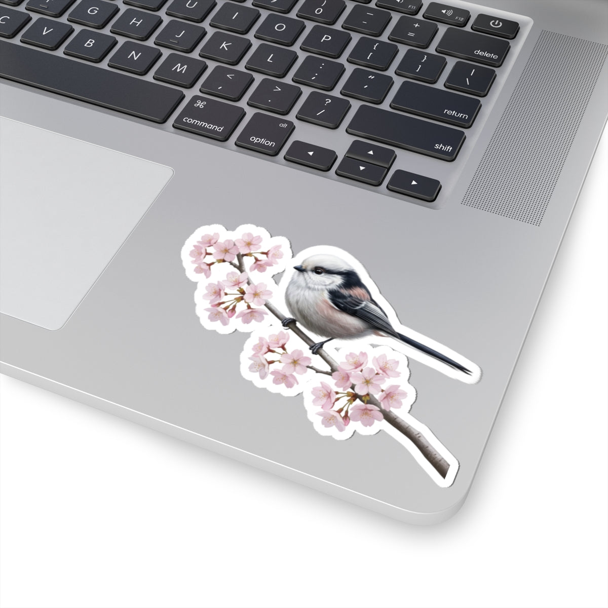 Long Tailed Titmouse Cherry Blossom Sticker | Glossy Floral Bird Decal Spring Laptop Stickers – and blossoms style
