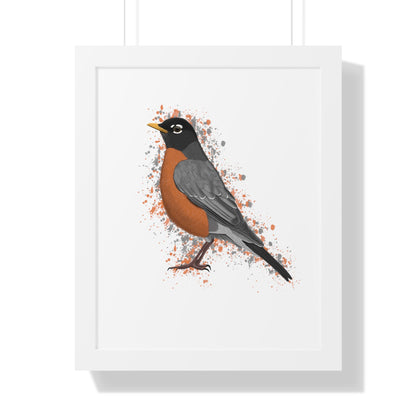 Robin Bird Framed Poster