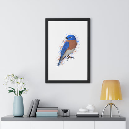 Bluebird Bird Framed Poster