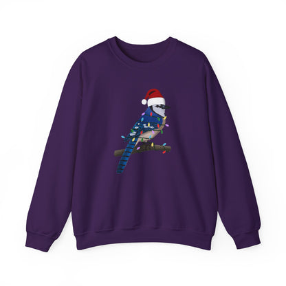 Blue Jay with Fairy Lights Santa Claus Christmas Bird Sweatshirt