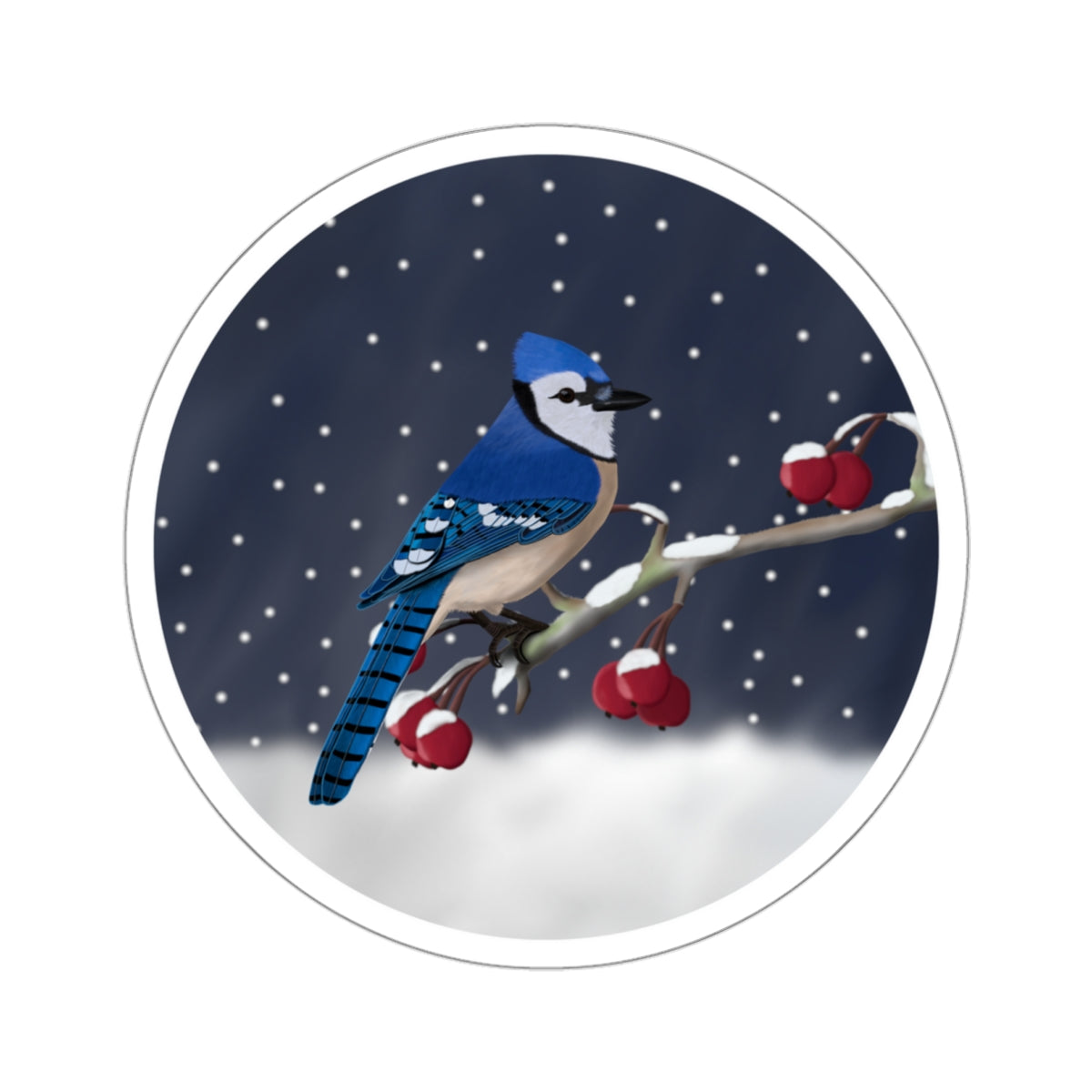 Blue Jay on a Winter Branch Christmas Bird Sticker