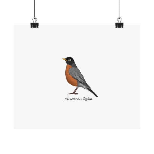 American Robin Bird Birding Matte Poster