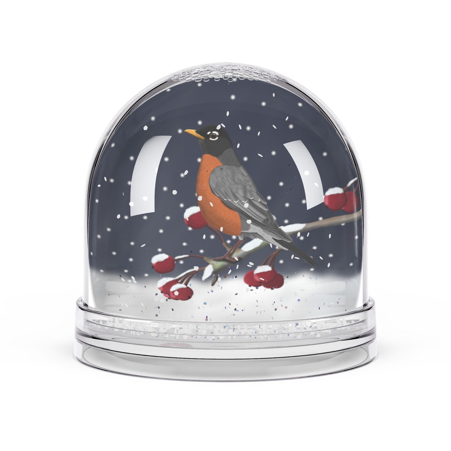 American Robin Bird Snow Globe | Double-Sided Christmas Gift for Bird Lovers