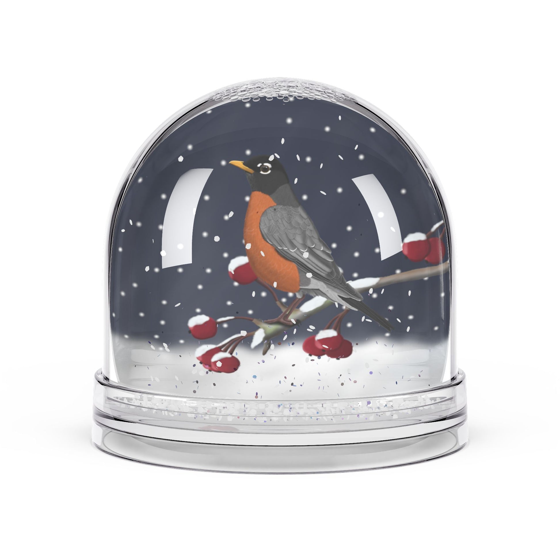 American Robin Bird Snow Globe | Double-Sided Christmas Gift for Bird Lovers
