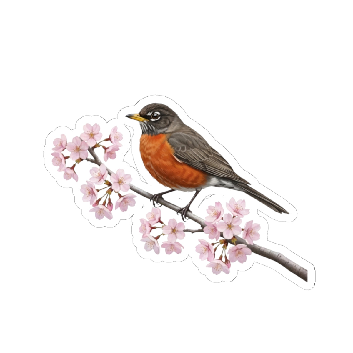 American Robin Cherry Blossom Sticker | Glossy Floral Bird Decal | Spring Laptop Sticker