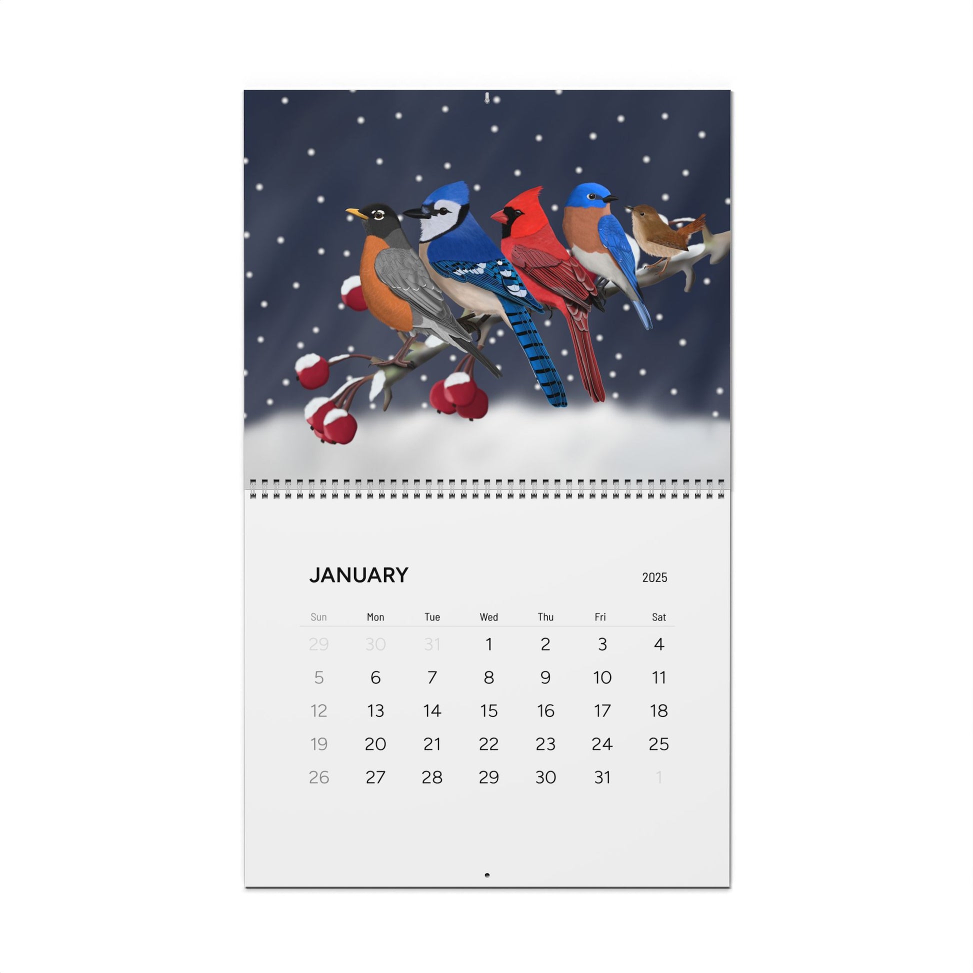 Backyard Birds Blue Jay Cardinal Robin Wall Calendar with 2025 Grid