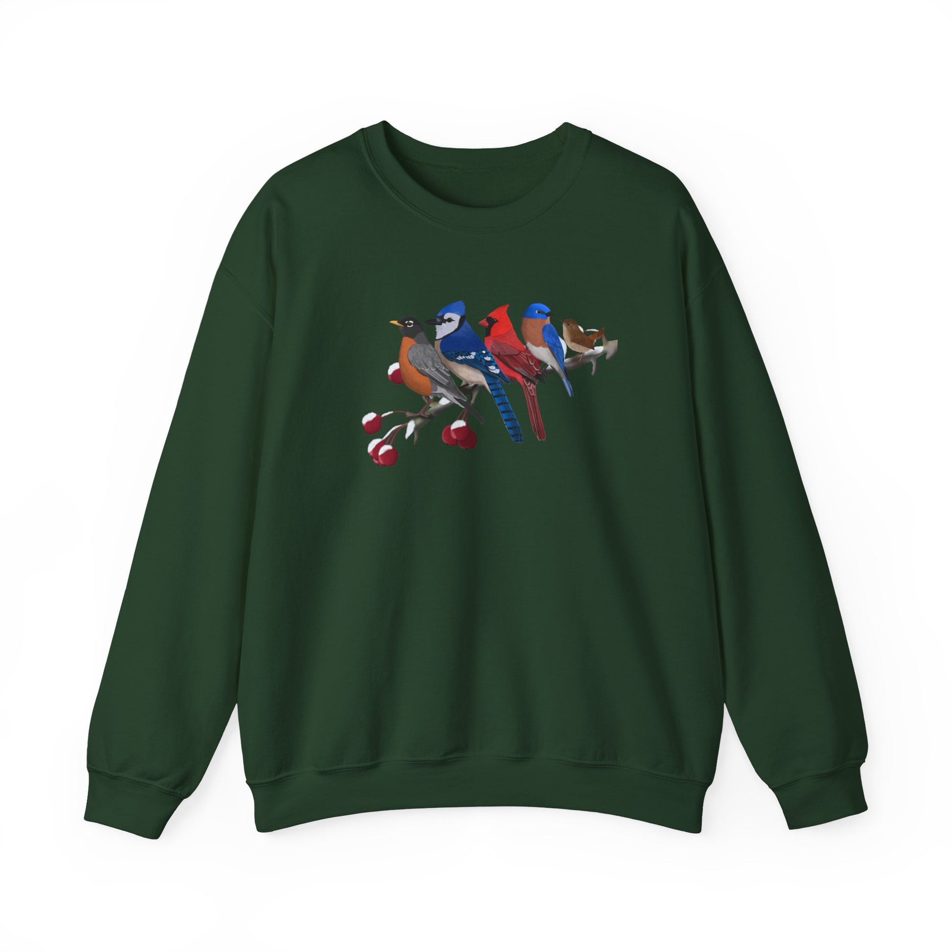 Backyard Birds Robin Blue Jay Cardinal Bluebird Wren Birdwatcher Christmas Bird Sweatshirt
