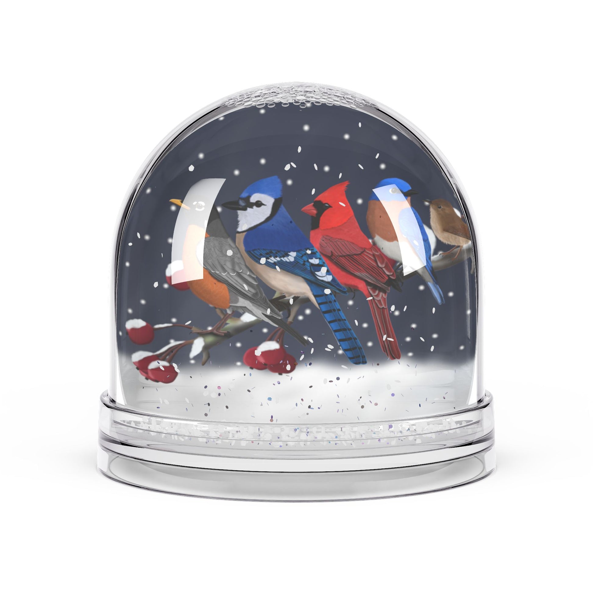 Backyard Birds Snow Globe | Double-Sided Christmas Gift for Bird Lovers