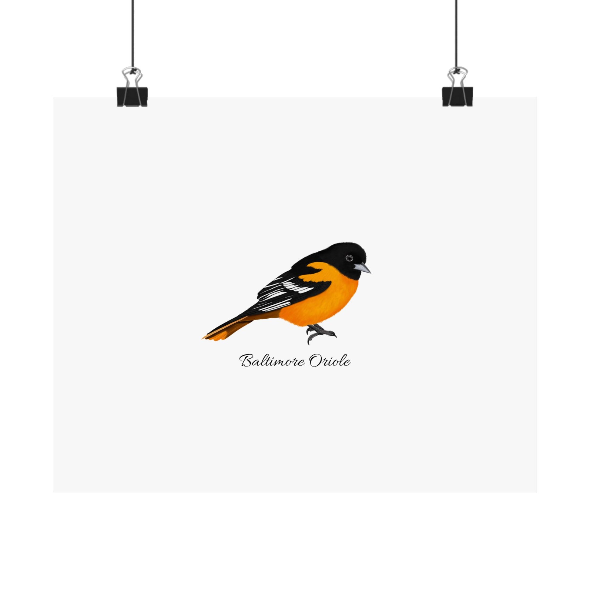 Baltimore Oriole Bird Birding Matte Poster