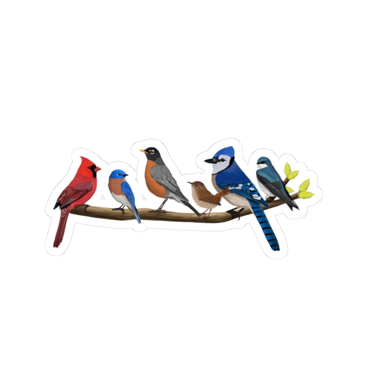 Birds on a Branch Blue Jay Cardinal Robin Sticker Bird Lover & Bird Watcher