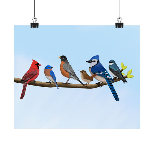Birds on a Branch Poster Robin Blue Jay Bluebird Cardinal Wren Tree Swallow Bird Lovers & Bird Watchers
