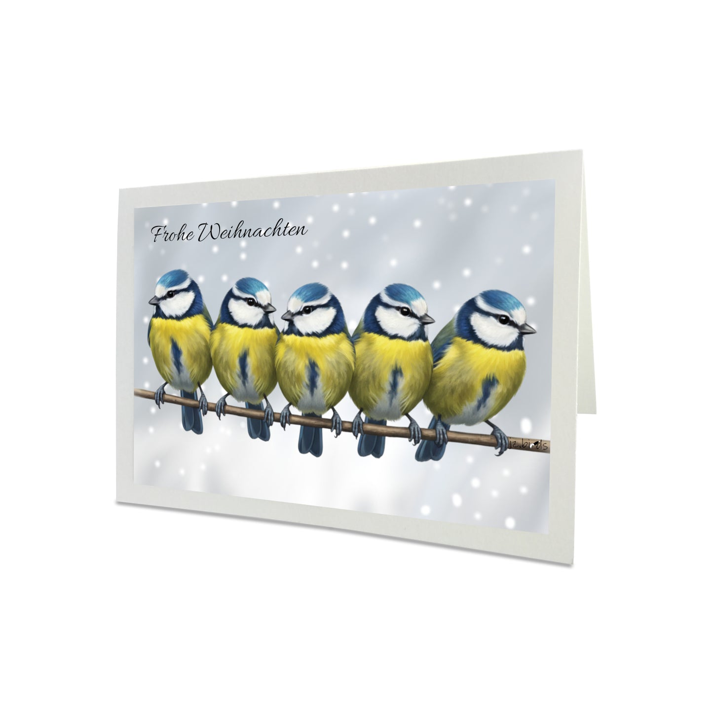 Blaumeisen auf einem Ast Weihnachtskarte Frohe Weihnachten Inklusive Umschlag