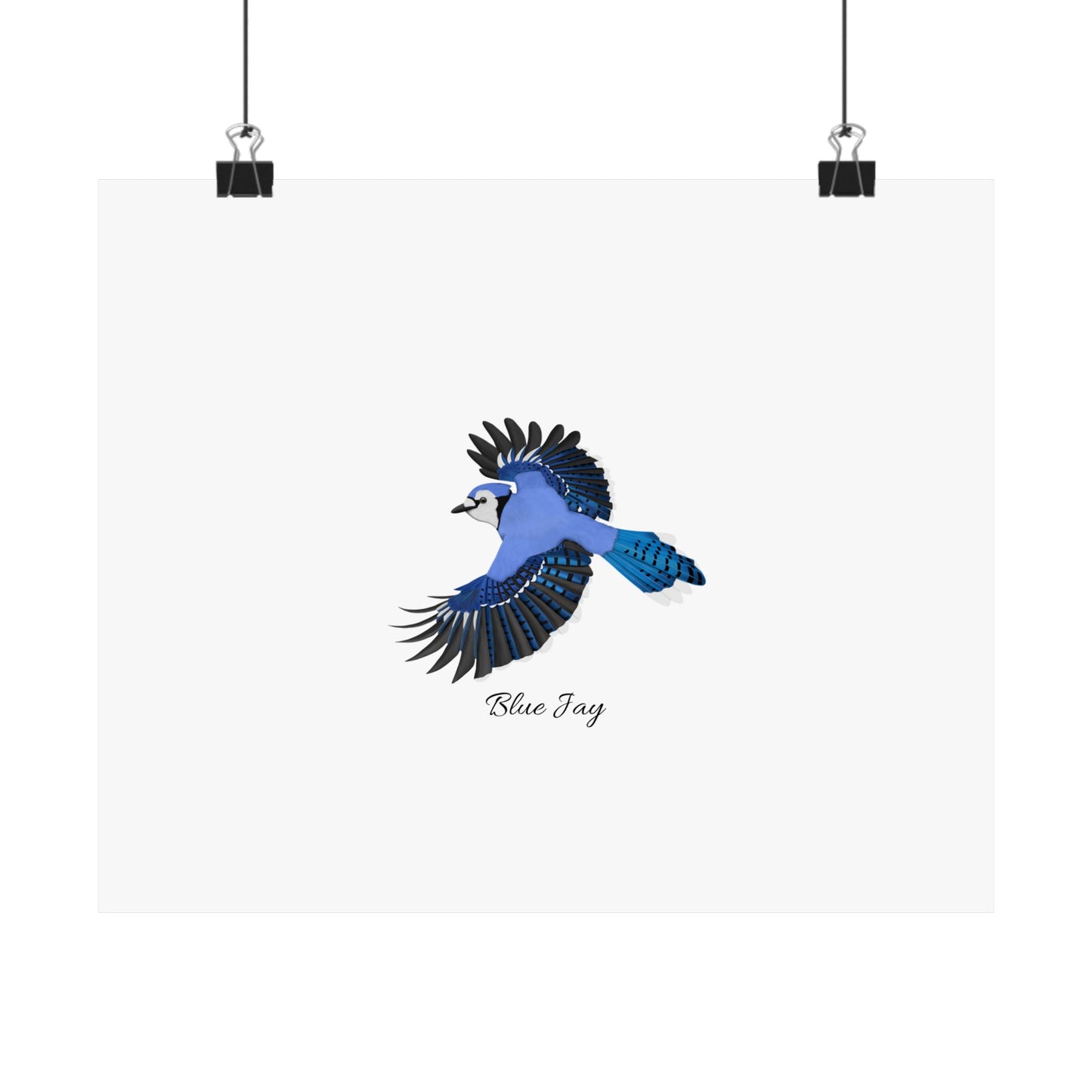 Blue Jay Bird Birding Matte Poster