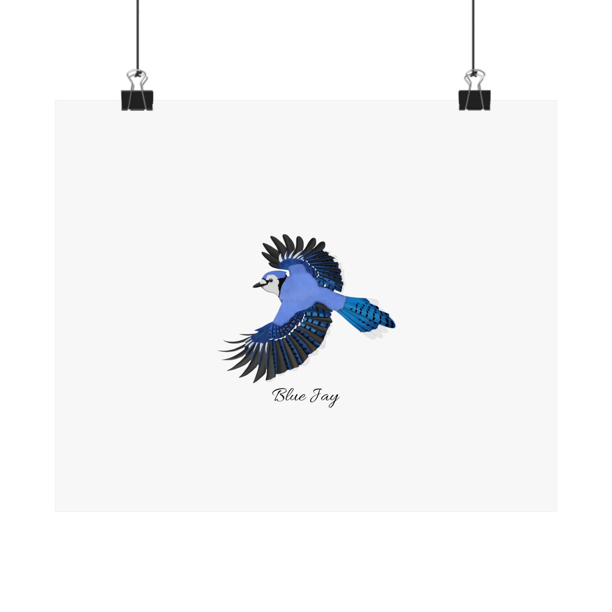 Blue Jay Bird Birding Matte Poster