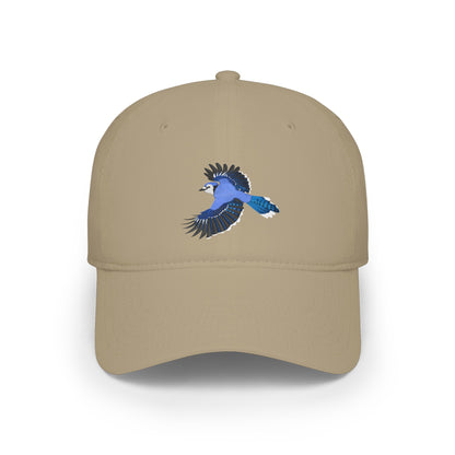 Blue Jay Birdwatching Cap | Realistic Backyard Bird Art Hat