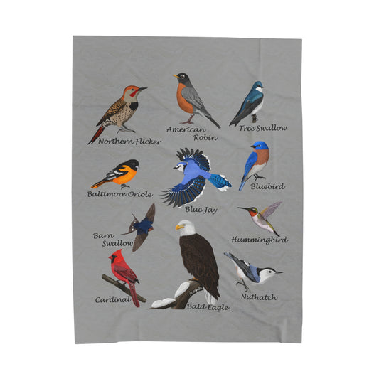 Blue Jay Cardinal Robin Bluebird Hummingbird Backyard Birds Velveteen Plush Blanket Grey