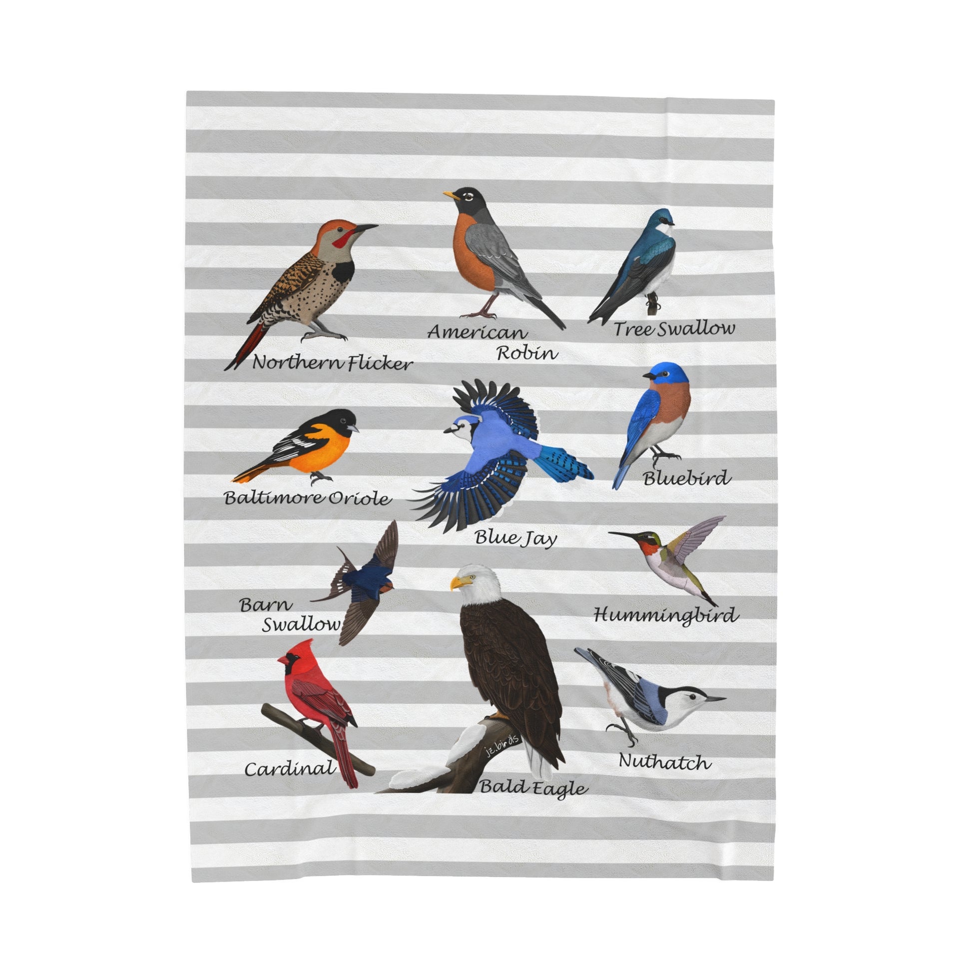 Blue Jay Cardinal Robin Bluebird Hummingbird Backyard Birds Velveteen Plush Blanket Grey White