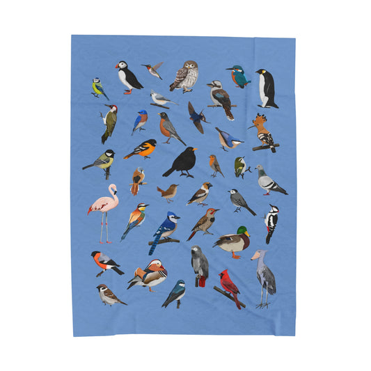 Blue Jay Cardinal Robin Bluebird Hummingbird Oriole Backyard Birds Velveteen Plush Blanket Blue