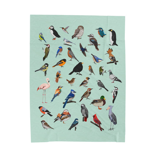 Blue Jay Cardinal Robin Bluebird Hummingbird Oriole Backyard Birds Velveteen Plush Blanket Green