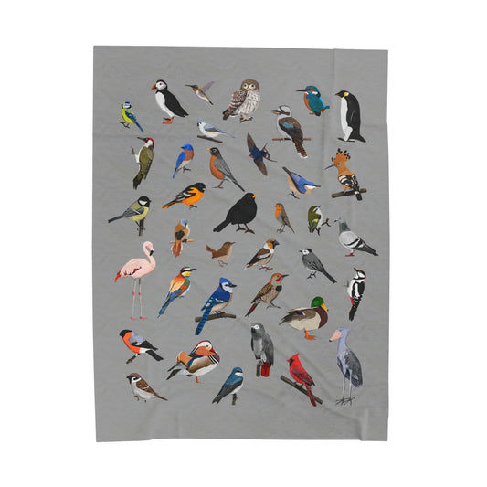 Blue Jay Cardinal Robin Bluebird Hummingbird Oriole Backyard Birds Velveteen Plush Blanket Grey