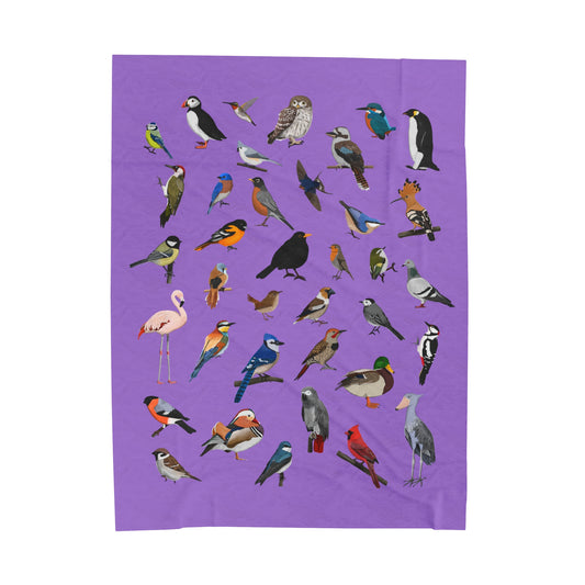 Blue Jay Cardinal Robin Bluebird Hummingbird Oriole Backyard Birds Velveteen Plush Blanket Purple