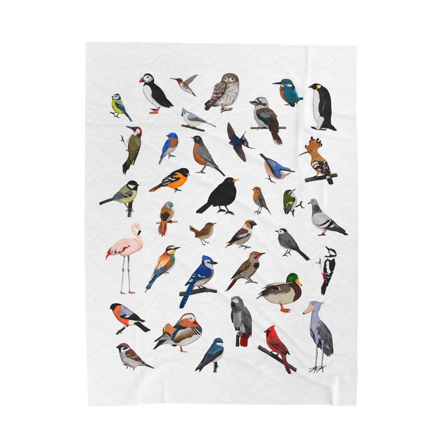 Blue Jay Cardinal Robin Bluebird Hummingbird Oriole Backyard Birds Velveteen Plush Blanket White