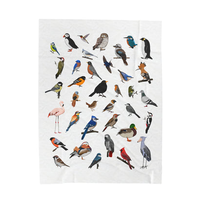 Blue Jay Cardinal Robin Bluebird Hummingbird Oriole Backyard Birds Velveteen Plush Blanket White