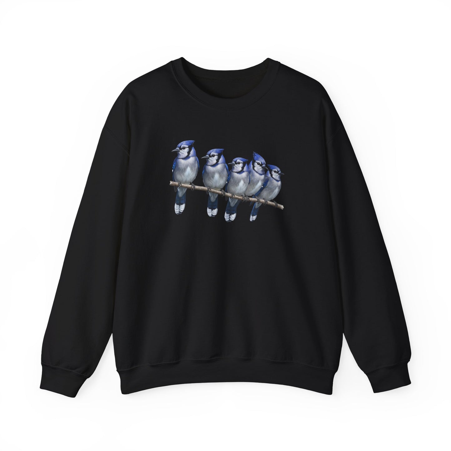 Blue Jays Sweatshirt | Bird Watcher Crewneck | Unisex Songbird Gift for Bird Lovers