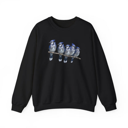 Blue Jays Sweatshirt | Bird Watcher Crewneck | Unisex Songbird Gift for Bird Lovers