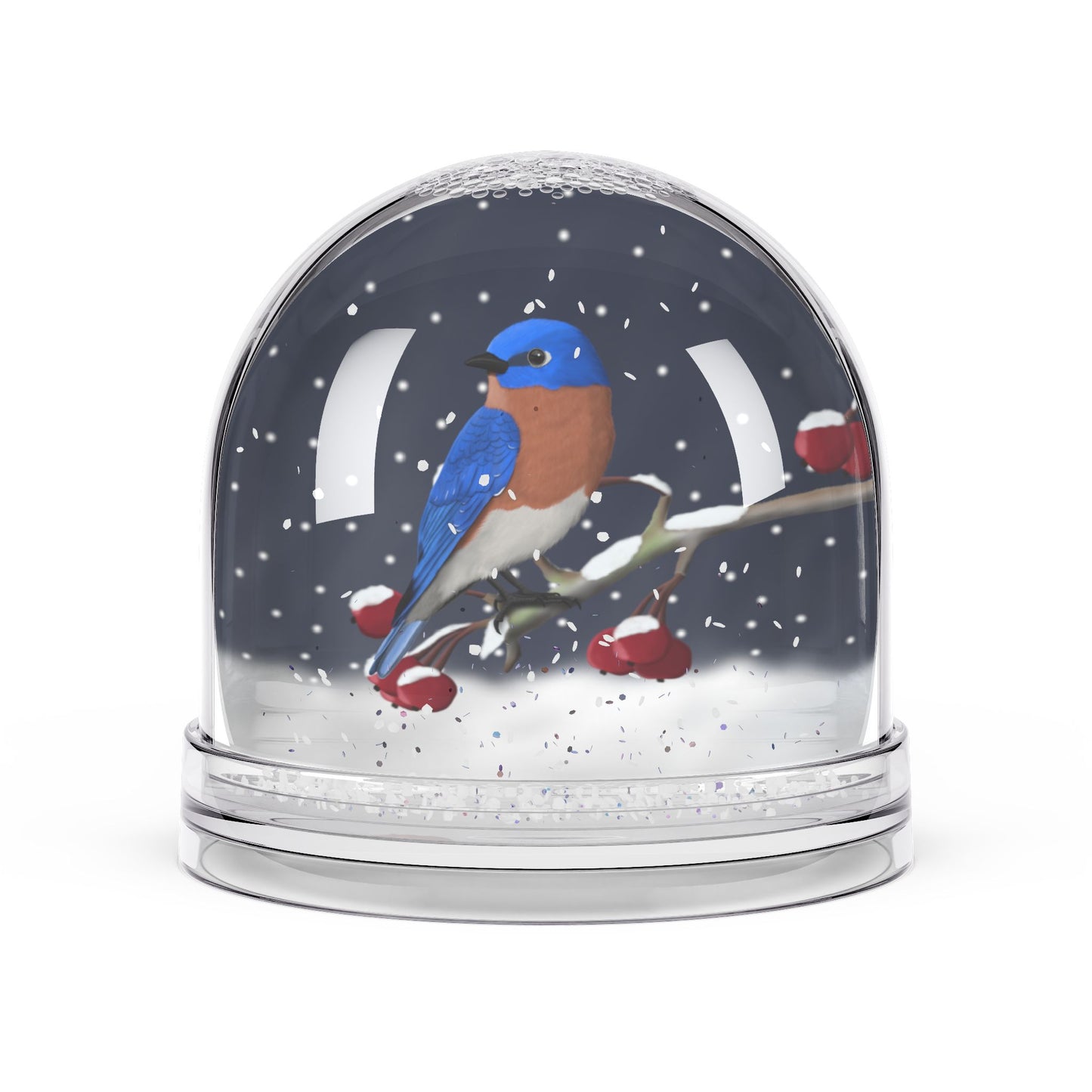 Bluebird Bird Snow Globe | Double-Sided Christmas Gift for Bird Lovers