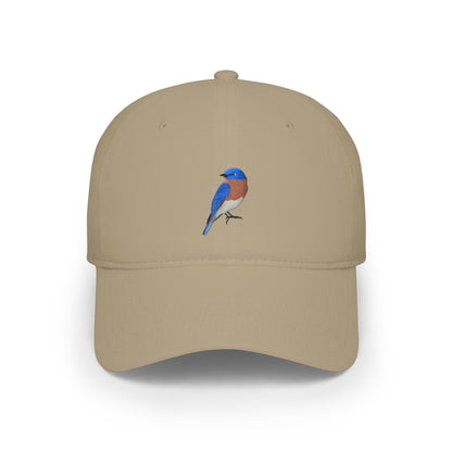 Bluebird Birdwatching Cap | Realistic Backyard Bird Art Hat