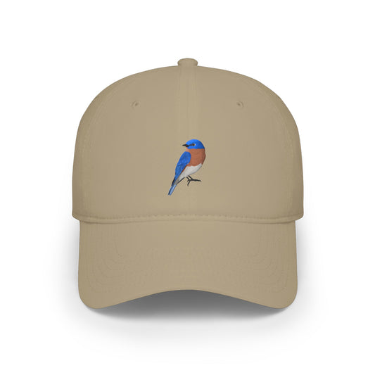 Bluebird Birdwatching Cap | Realistic Backyard Bird Art Hat