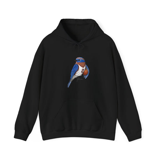 Bluebird Funny Basketball Bird Hoodie – Unique Hoops Fan Gift – Soft, Unisex Jumper for Players