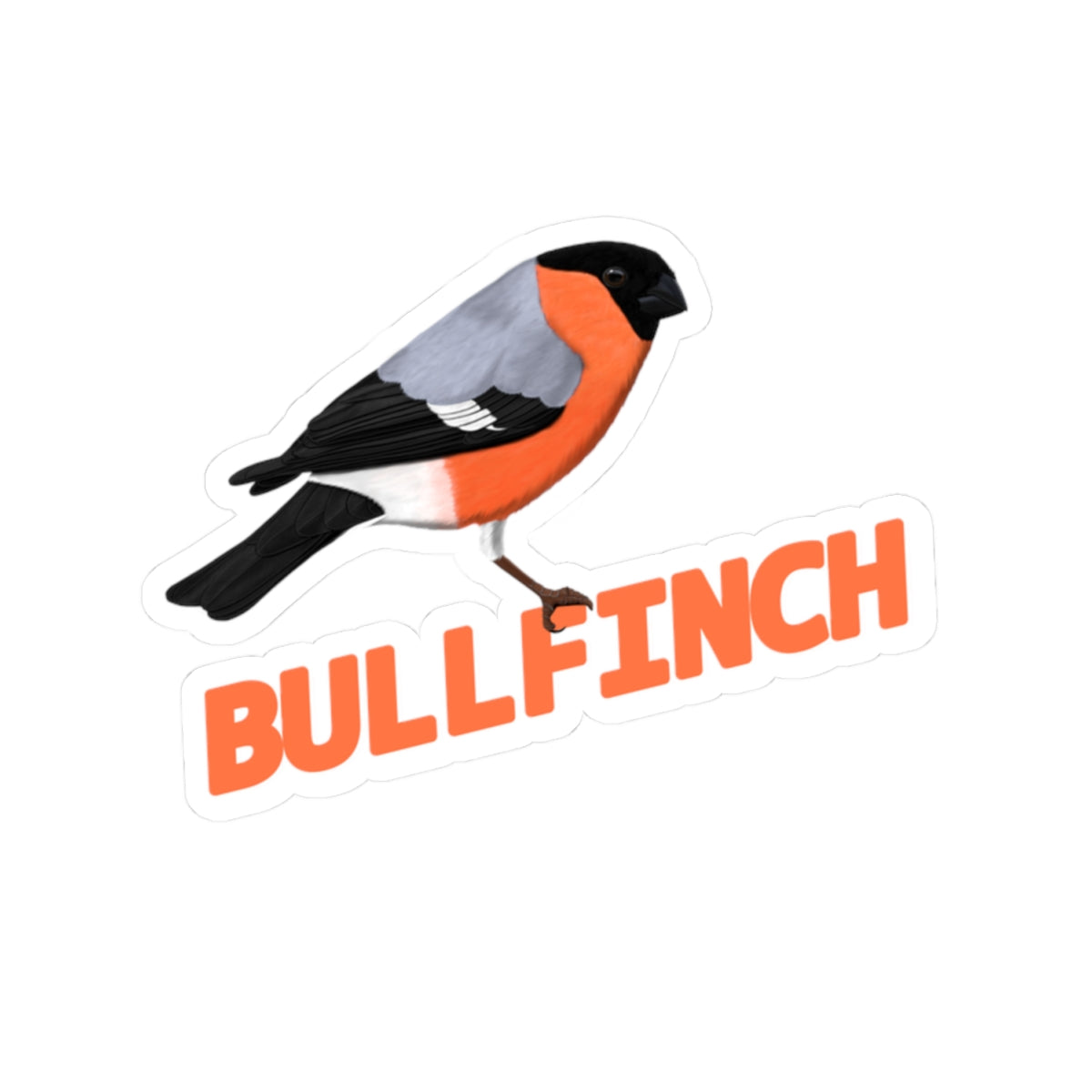 Bullfinch Sticker Bird Lover & Bird Watcher