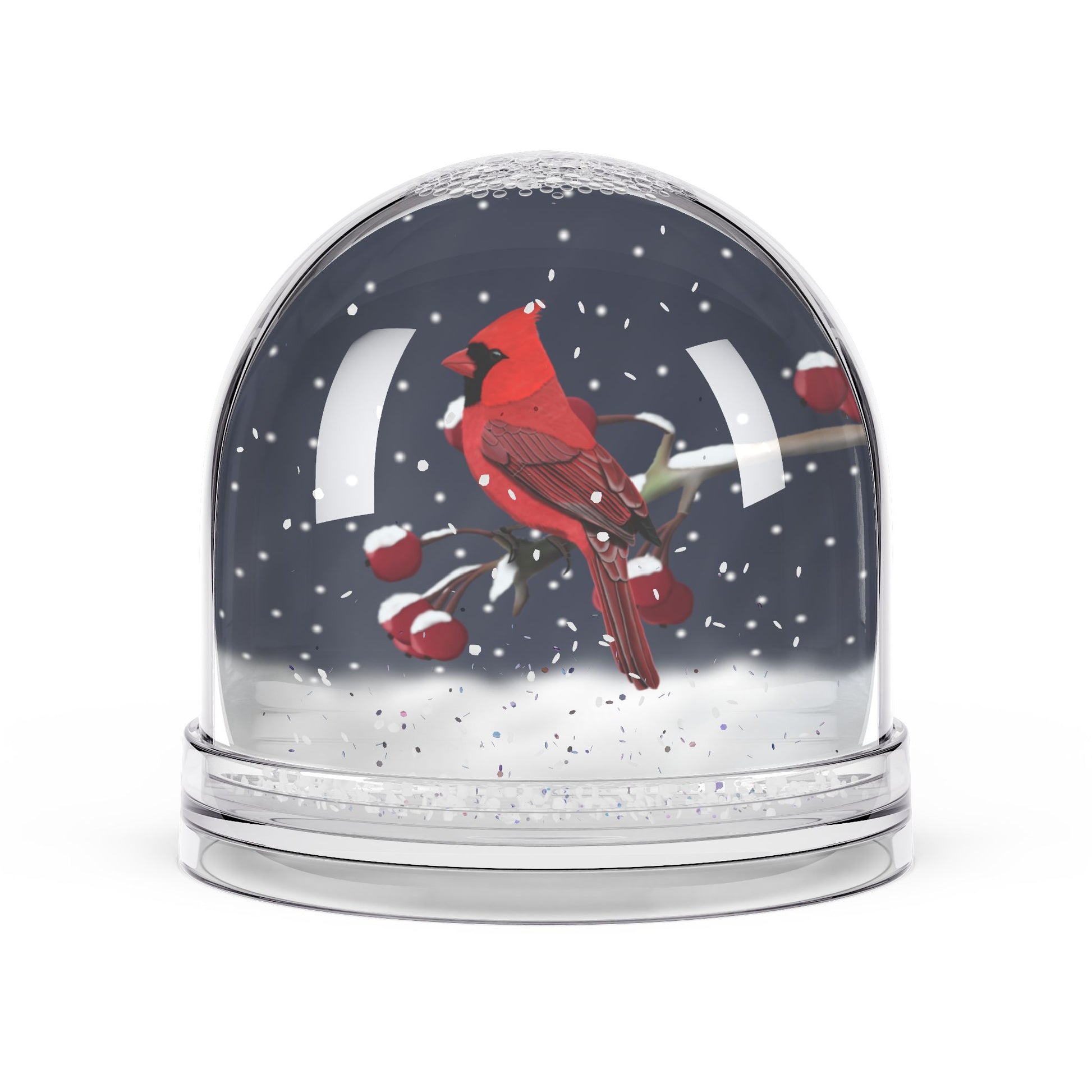 Cardinal Bird Snow Globe | Double-Sided Christmas Gift for Bird Lovers