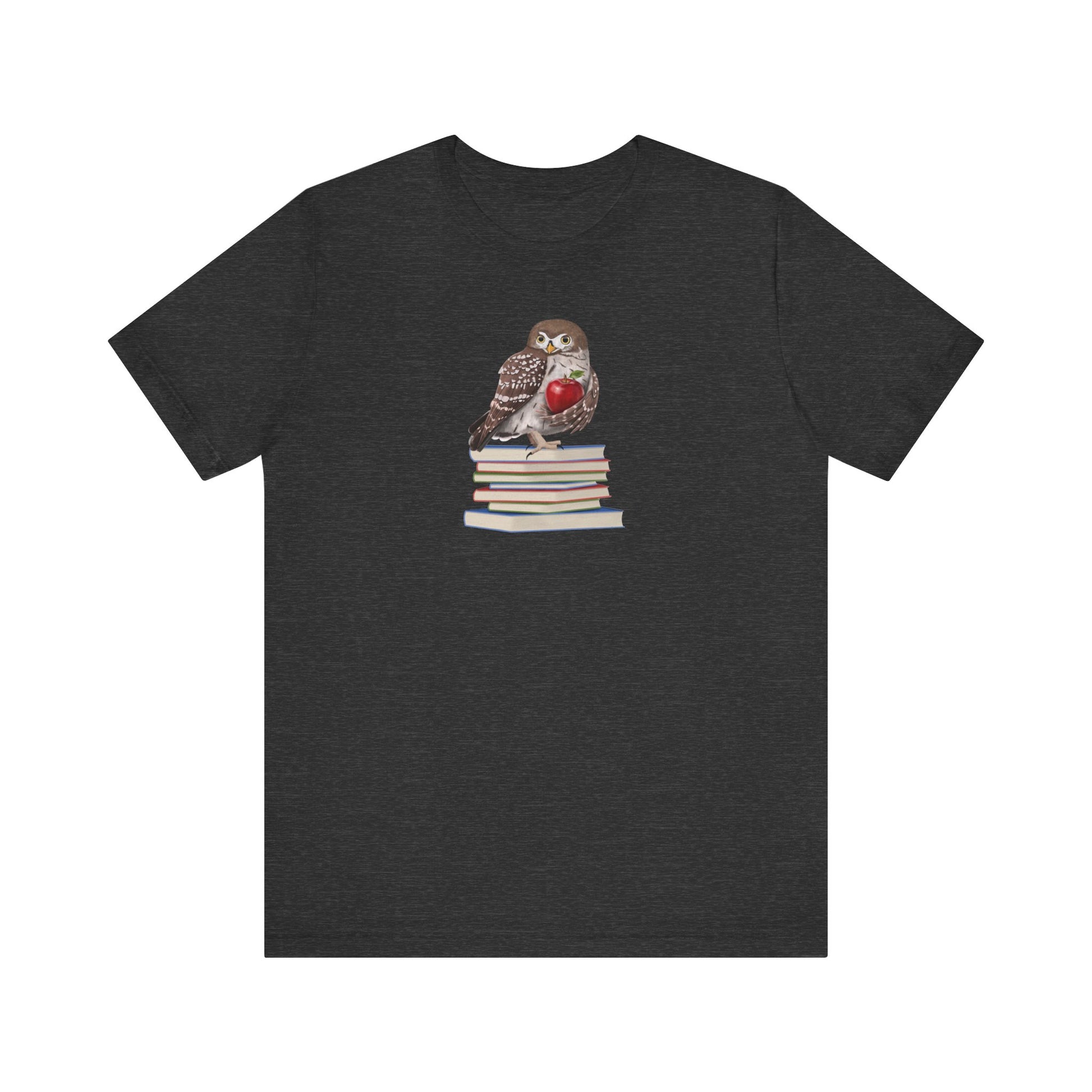 Cute Owl on Books Teacher Shirt – Back to School Apple Aesthetic