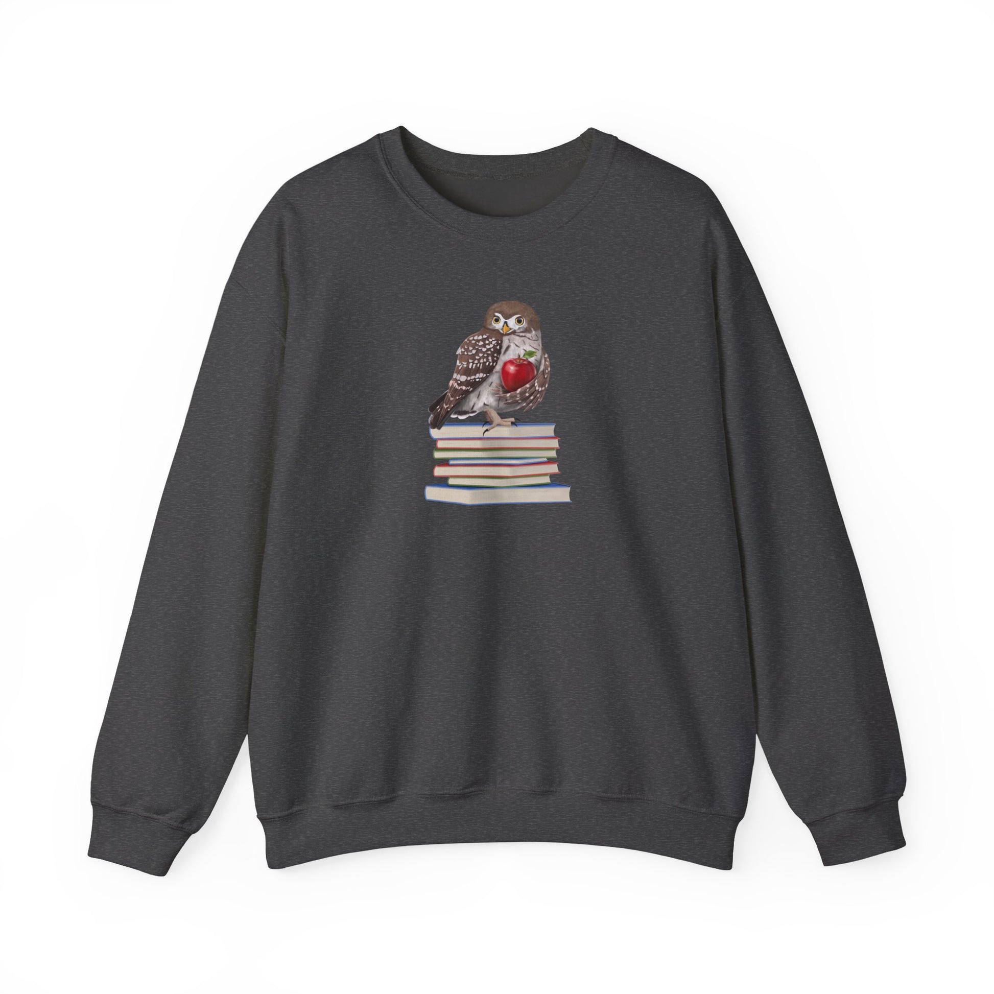 Cute Owl on Books Teacher Sweatshirt – Cozy Back to School Aesthetic