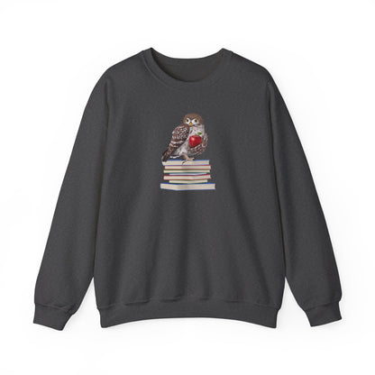 Cute Owl on Books Teacher Sweatshirt – Cozy Back to School Aesthetic