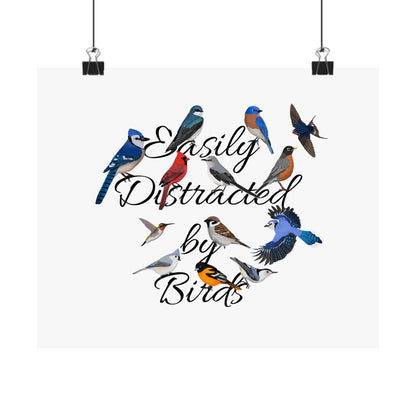 Easily Distracted by Birds Blue Jay Cardinal Bluebird Bird Birding Matte Poster