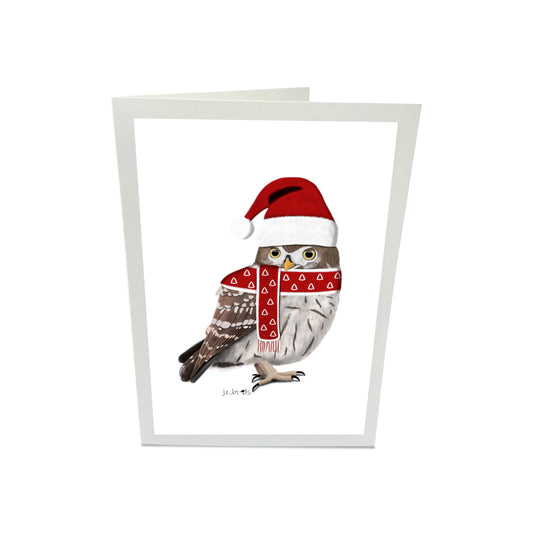 Owl Bird as Santa Claus Merry Christmas Greeting Card