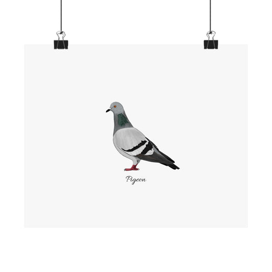 Pigeon Bird Birding Matte Poster