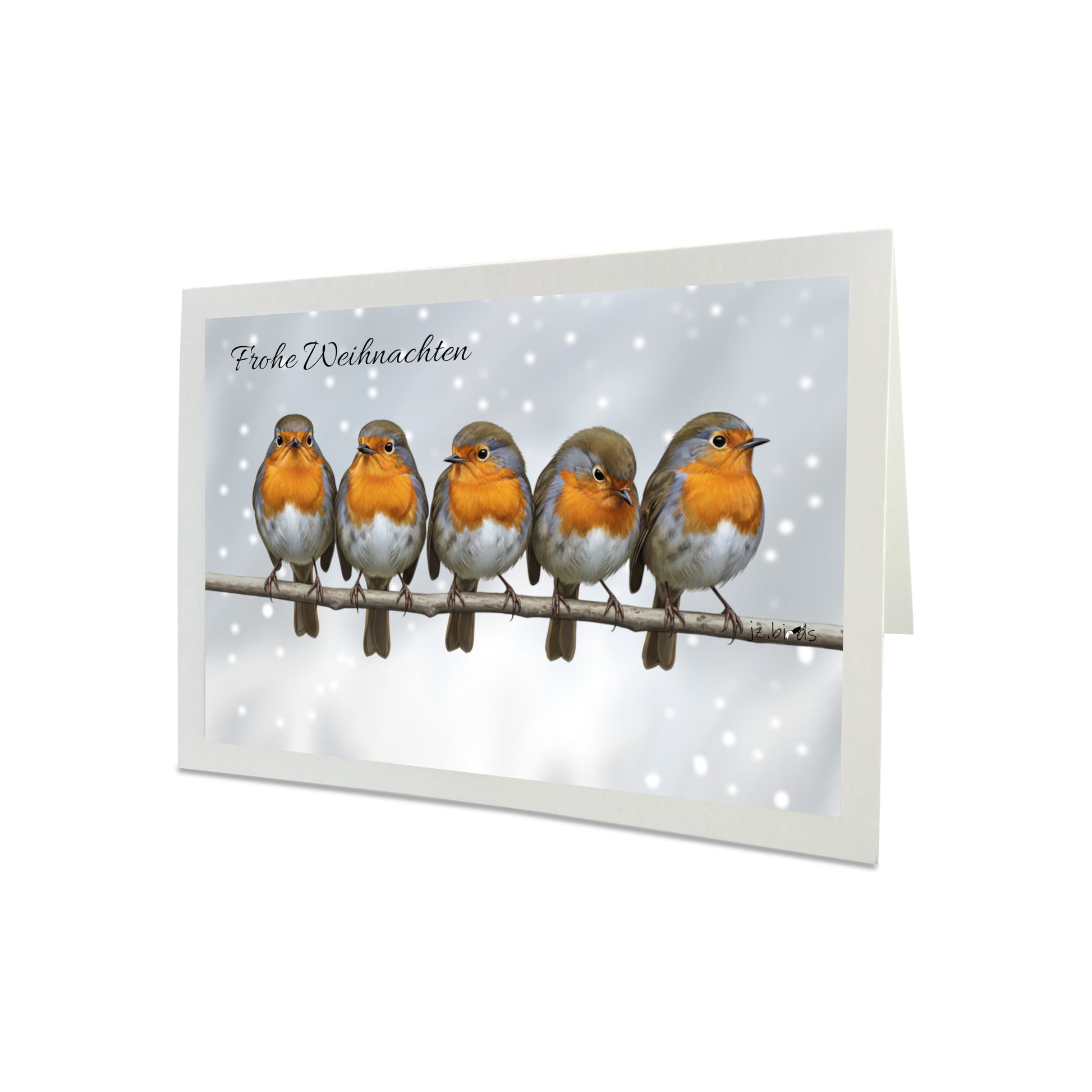 Rotkehlchen auf einem Ast Weihnachtskarte Frohe Weihnachten Inklusive Umschlag